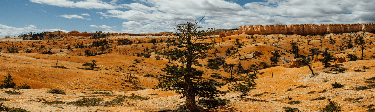 Kings Canyon Rim Walk